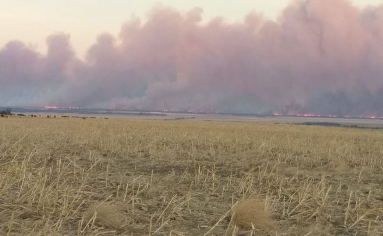 FOTO: Incendio forestal en Copina.