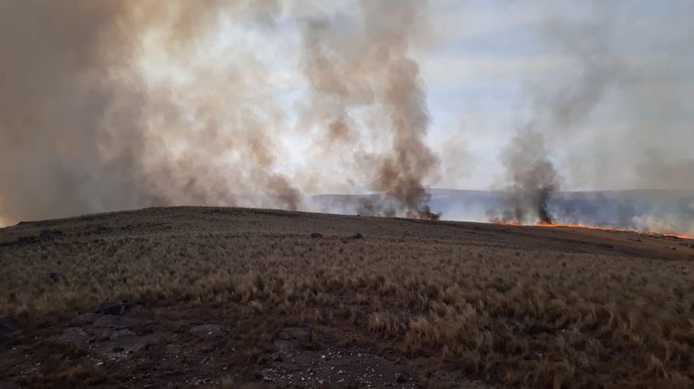FOTO: Incendio forestal en Copina.