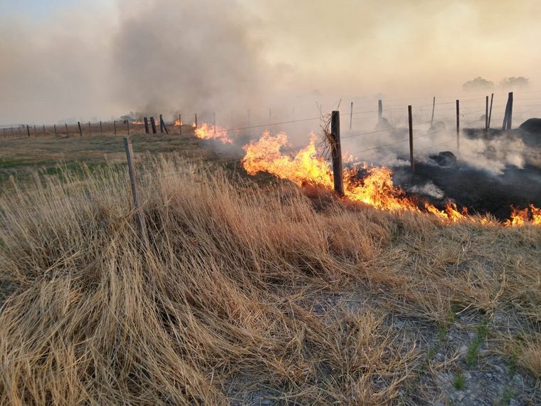 FOTO: Dramático incendio en un campo de Bella Italia (Fotos: Twitter).