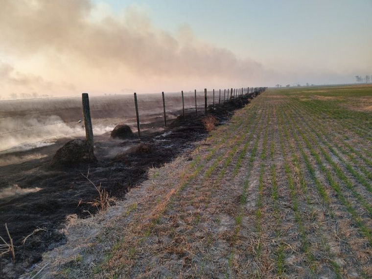 FOTO: Dramático incendio en un campo de Bella Italia (Fotos: Twitter).