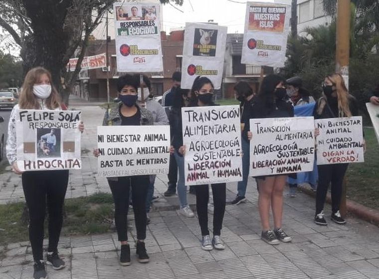 Ambientalistas se manifestaron por los derechos porcinos