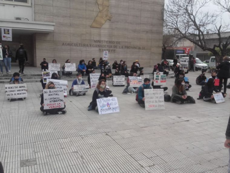 Ambientalistas se manifestaron por los derechos porcinos