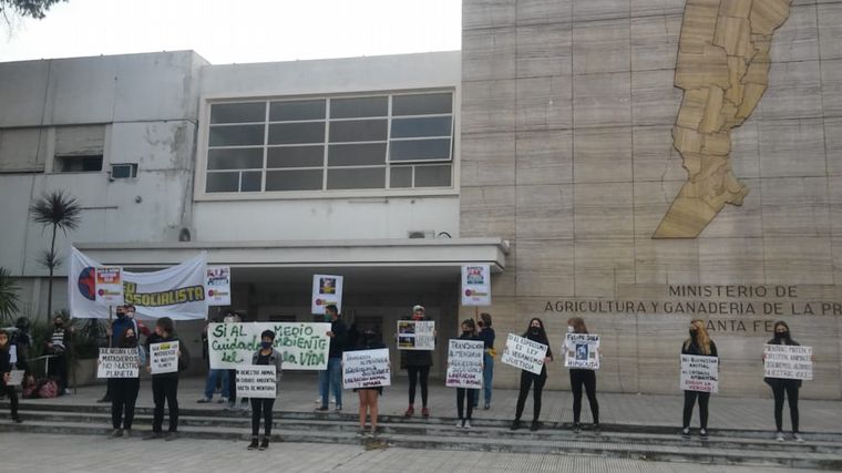 FOTO: Ambientalistas se manifestaron por los derechos porcinos
