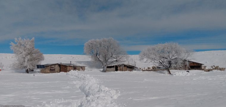 La nieve dejó aislada a la familia Llancaqueo.