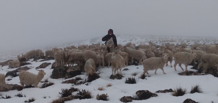 La familia necesita forraje para los animales.