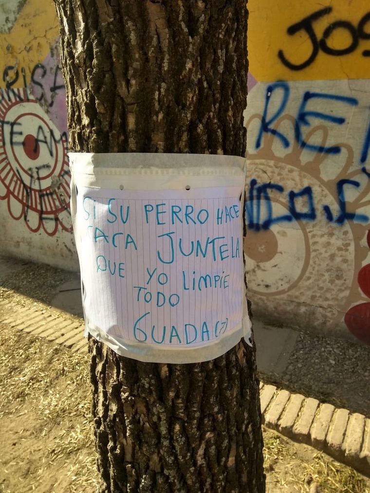 Con 7 años, limpió la plaza y pegó carteles para los vecinos