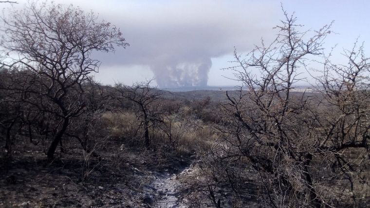 Incendio en el campo militar de La Calera (Foto: Federación de Bomberos)