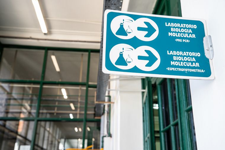 El Ceprocor analizará hasta 470 tests diarios de Covid-19