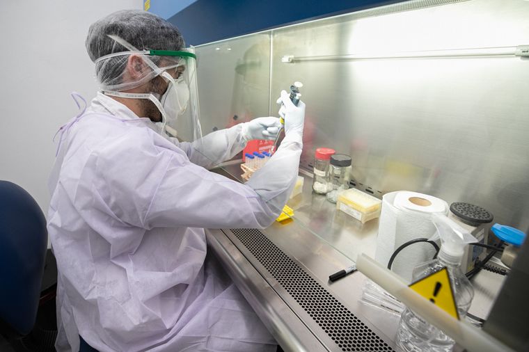 El Ceprocor analizará hasta 470 tests diarios de Covid-19
