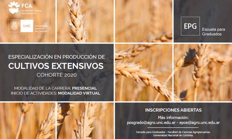 Producción de Cultivos Extensivos en tres trimestres on line.