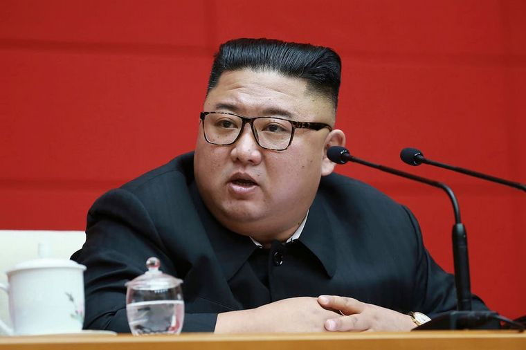 Kim Jong-un ordenó entregar los perros a las autoridades.