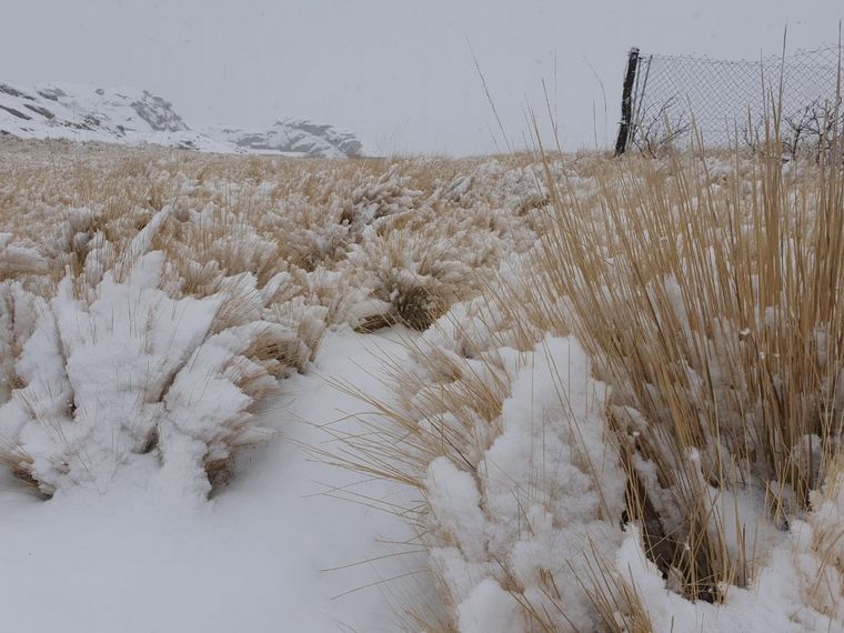 Intensa nevada en El Champaquí (Foto: Oscura Overa).