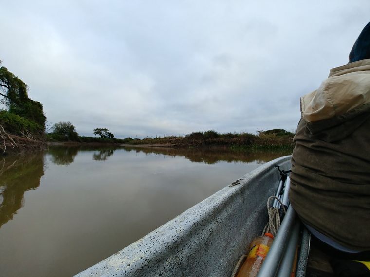 Durante la investigación en el río Paraná (Foto: IPEC).