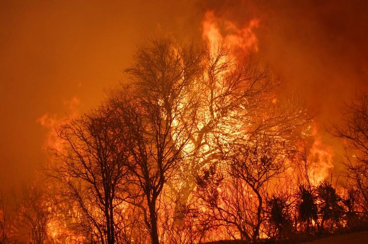 FOTO: Las llamas devoran los bosques en el Valle de Punilla. 