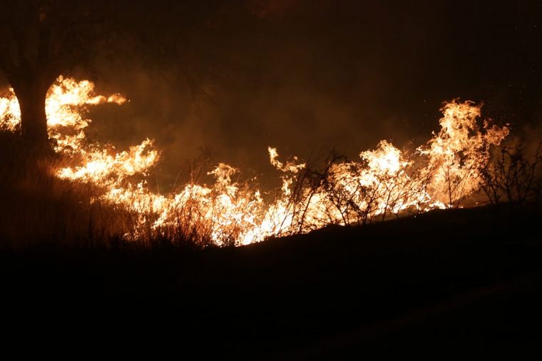 Las llamas devoran bosques y pastizales en las sierras. 