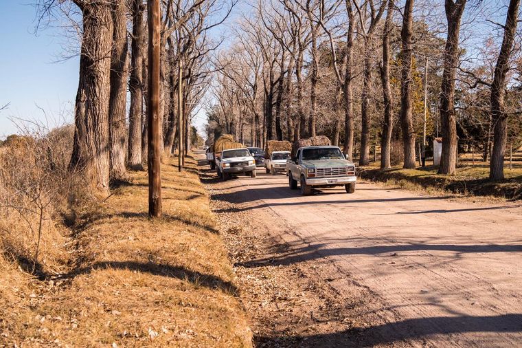 Productores llevan comida a animales afectados por los incendios en Córdoba