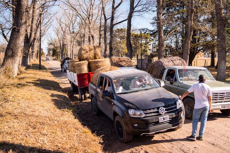 Productores llevan comida a animales afectados por los incendios en Córdoba