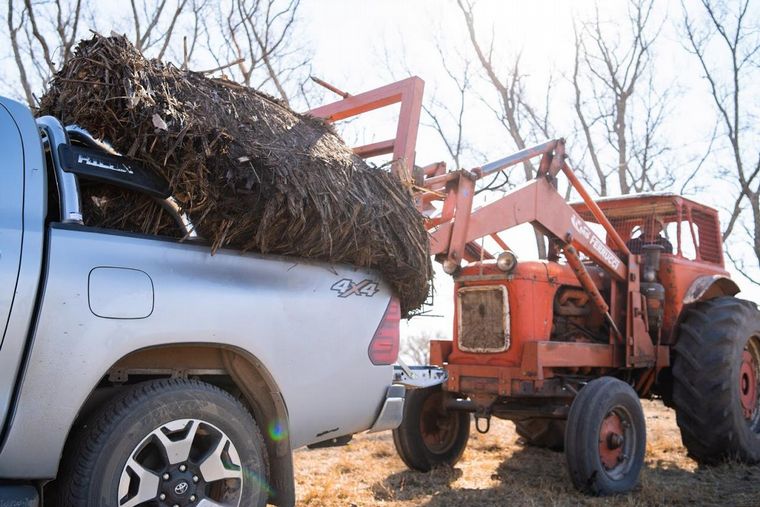 Productores llevan comida a animales afectados por los incendios en Córdoba