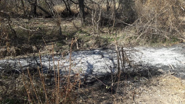 Un hombre fue detenido en Bañado de Soto por incendiar su campo