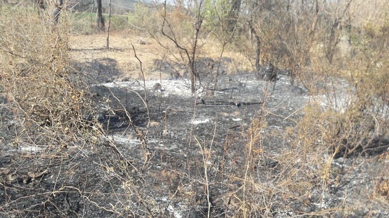 FOTO: Un hombre fue detenido en Bañado de Soto por incendiar su campo