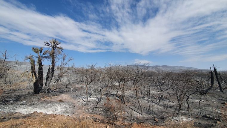 Impactantes imágenes de Copacabana tras el incendio