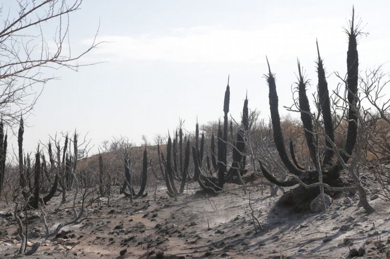 Impactantes imágenes de Copacabana tras el incendio
