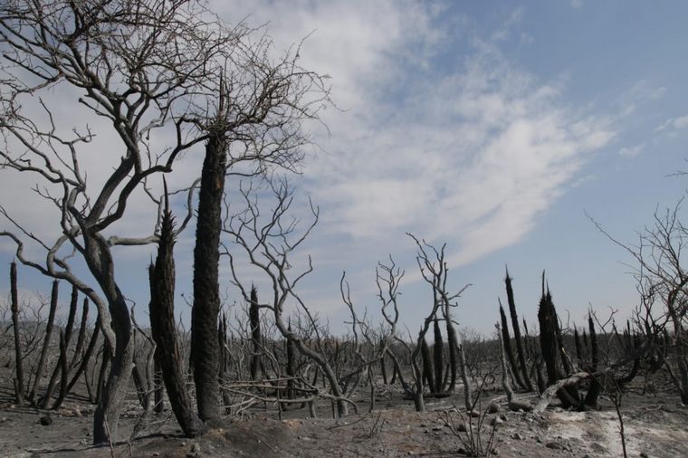 Impactantes imágenes de Copacabana tras el incendio