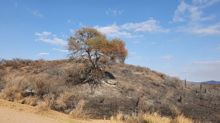 Impactantes imágenes de Copacabana tras el incendio