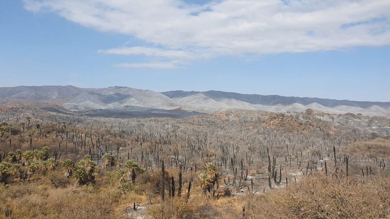 Impactantes imágenes de Copacabana tras el incendio