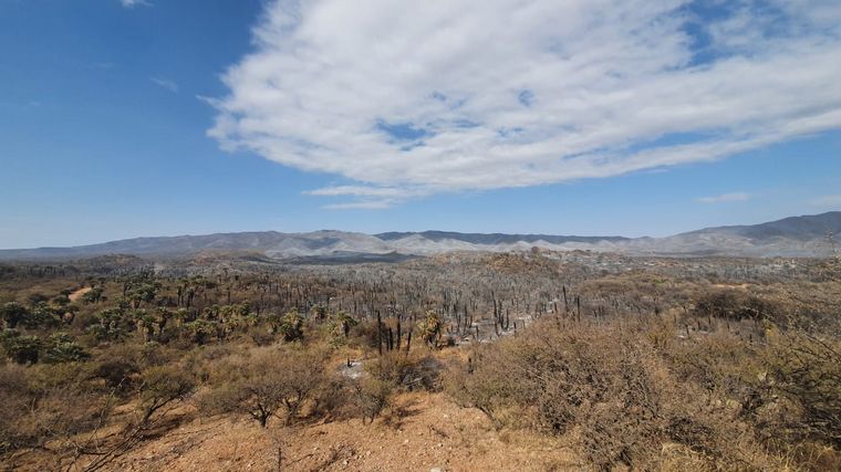 Impactantes imágenes de Copacabana tras el incendio