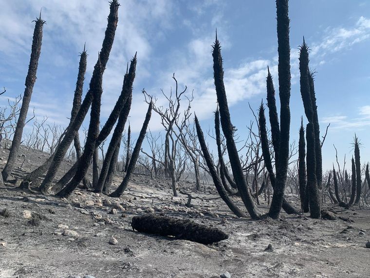 Impactantes imágenes de Copacabana tras el incendio