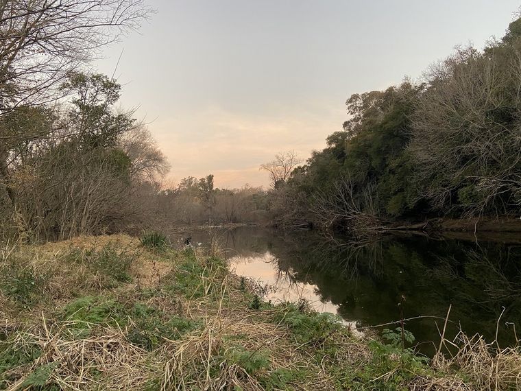 Vecinos de Villa Warcalde limpian la costa del río Suquía.