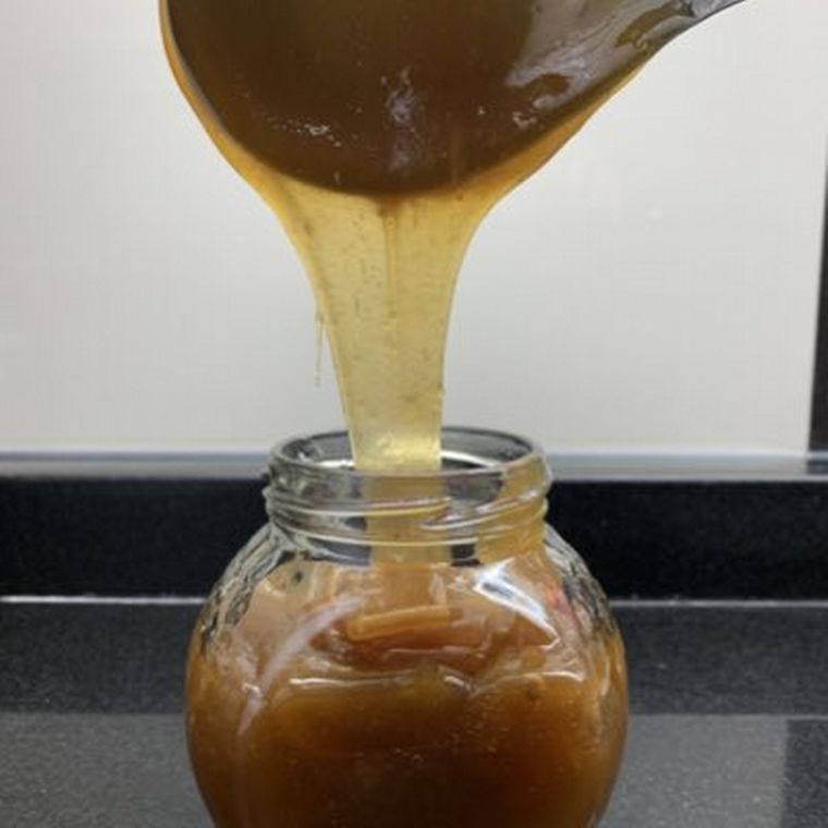 Mel Gibson y la polémica por una miel chilena.