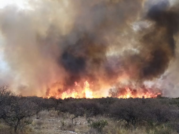 Fue contenido el incendio en el paraje La Cocha, en la zona de Panaholma.