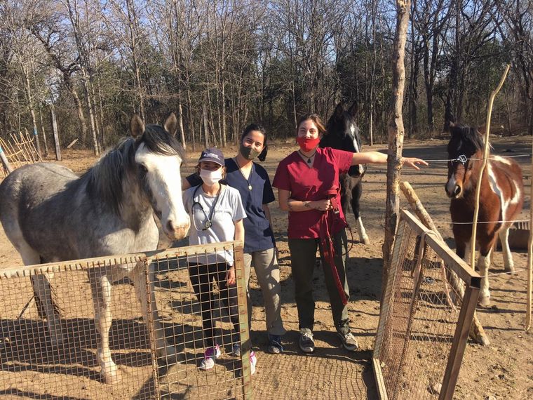 Donan alimento para los animales víctima del fuego en las Sierras.