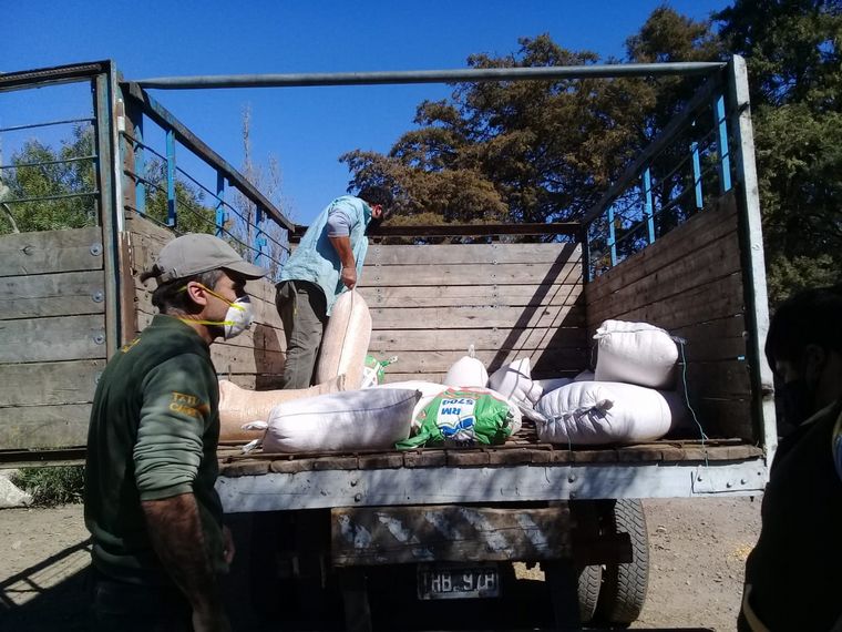 Donan alimento para los animales víctima del fuego en las Sierras.