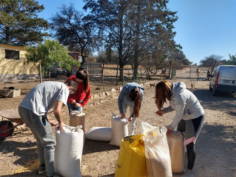Donan alimento para los animales víctima del fuego en las Sierras.
