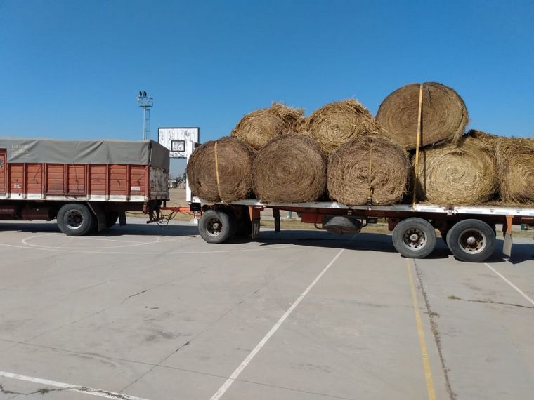 Donan alimento para los animales víctima del fuego en las Sierras.