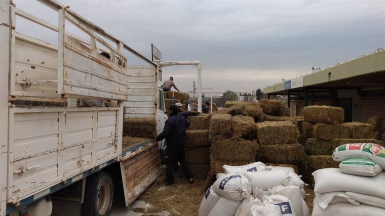 Donan alimento para los animales víctima del fuego en las Sierras.