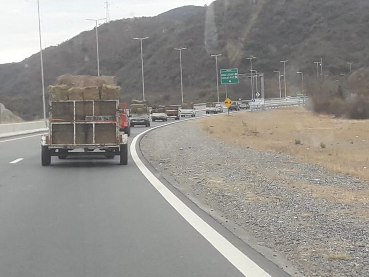 Donan alimento para los animales víctima del fuego en las Sierras.