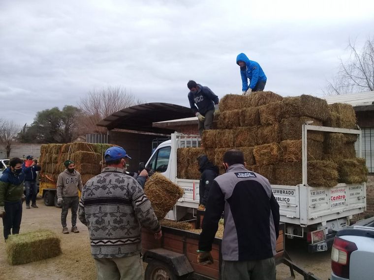 Donan alimento para los animales víctima del fuego en las Sierras.