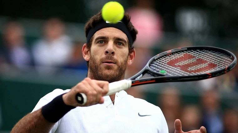 Del Potro fue dado de alta