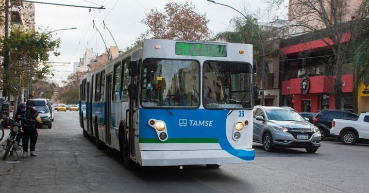 Confirmaron que una chofer de trolebuses tiene coronavirus.