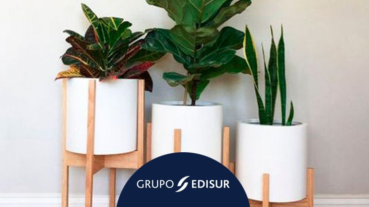 Las macetas con pieceros, la gran novedad de la temporada (Grupo Edisur/Printerest).