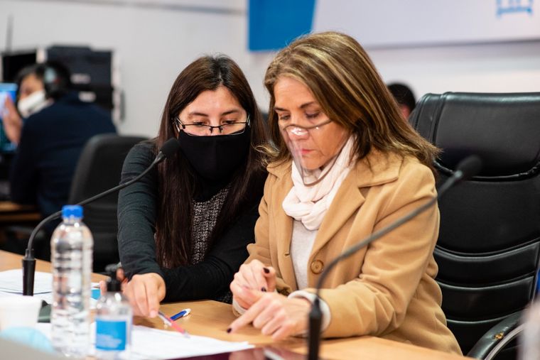 Especialistas participaron de la audiencia pública.