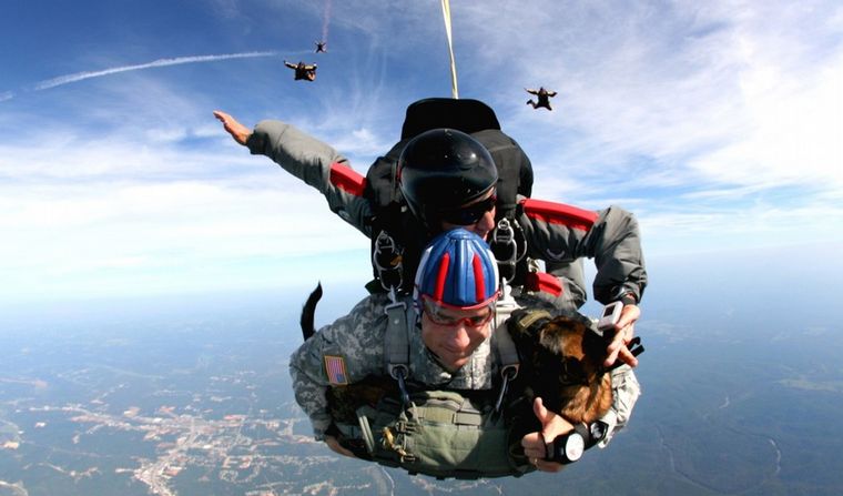El grito de un paracaidista novato.