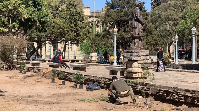 Revalorización de la Plaza Colón en Córdoba