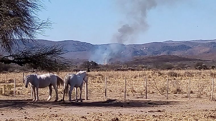 Bomberos contuvieron un foco de incendio en Ámbul.