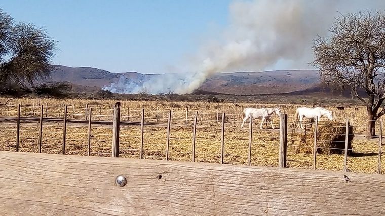 Bomberos contuvieron un foco de incendio en Ámbul.