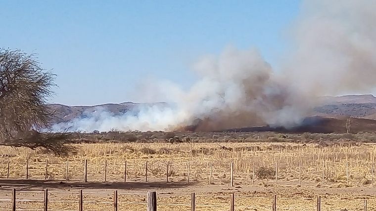 Bomberos contuvieron un foco de incendio en Ámbul.